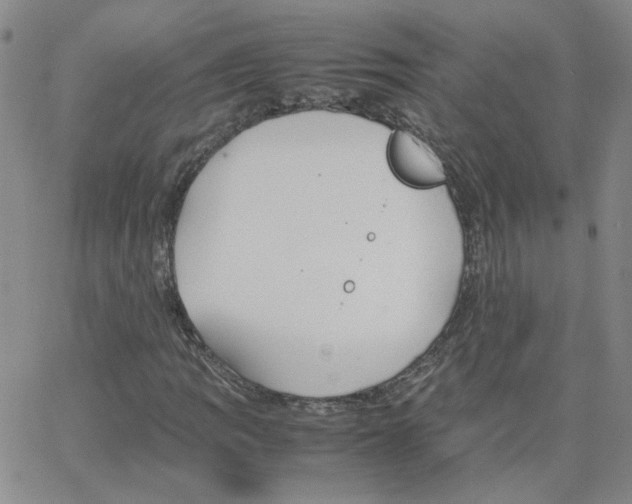 X0000064731109200603131246