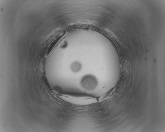 X0000064731110200603131246