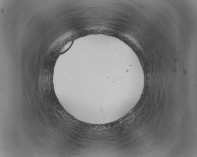 X0000064731111200603131246