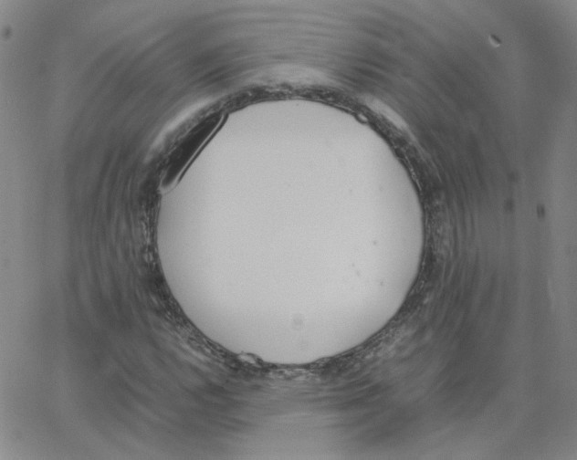 X0000064731112200603131246