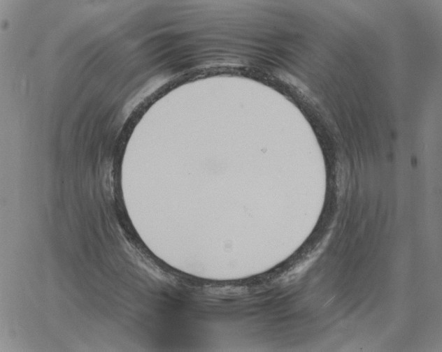 X0000064731113200603131246