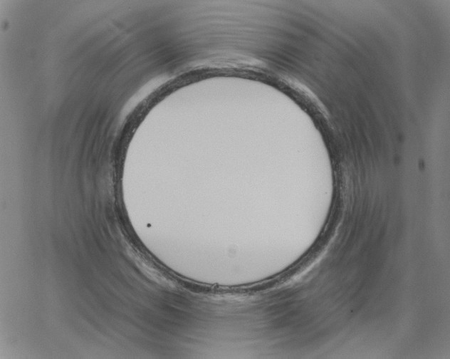 X0000064731114200603131246