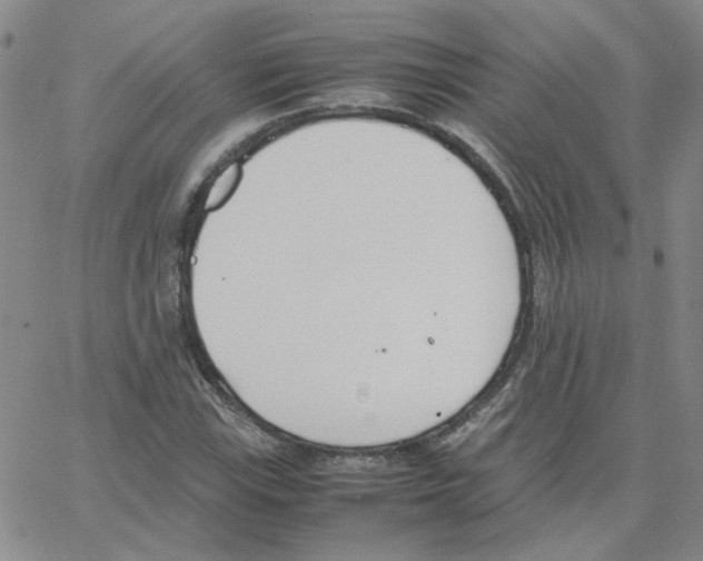 X0000064731115200603131246