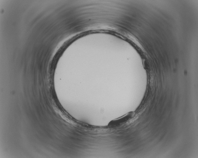 X0000064731116200603131246