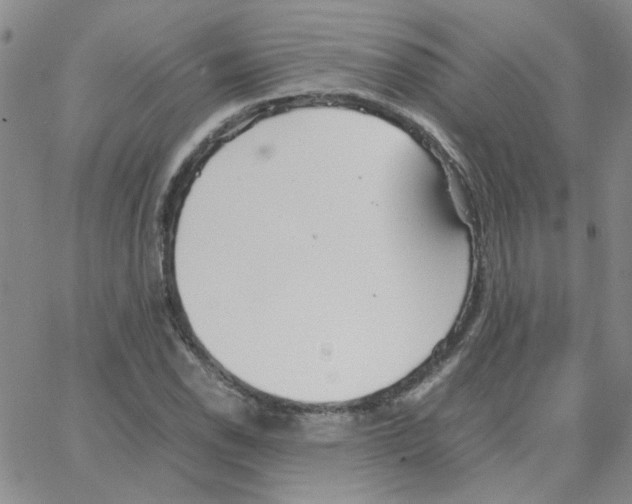 X0000064731118200603131246