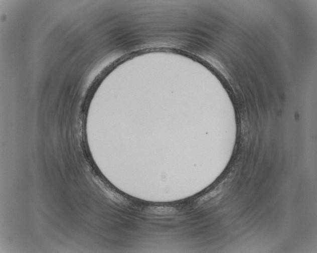 X0000064731119200603131246