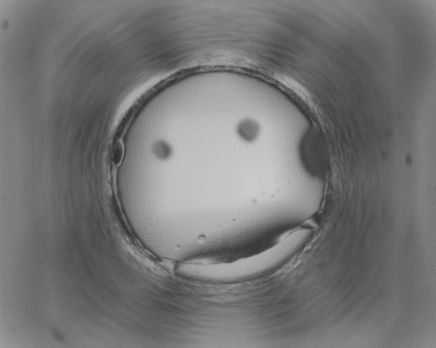 X0000064731120200603131246