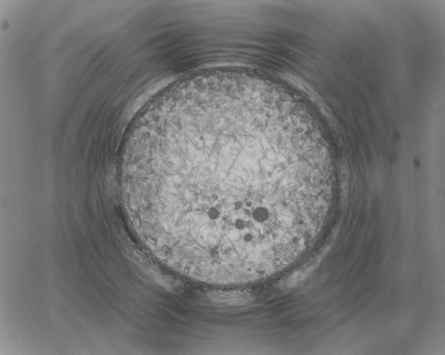 X0000064731121200603131246