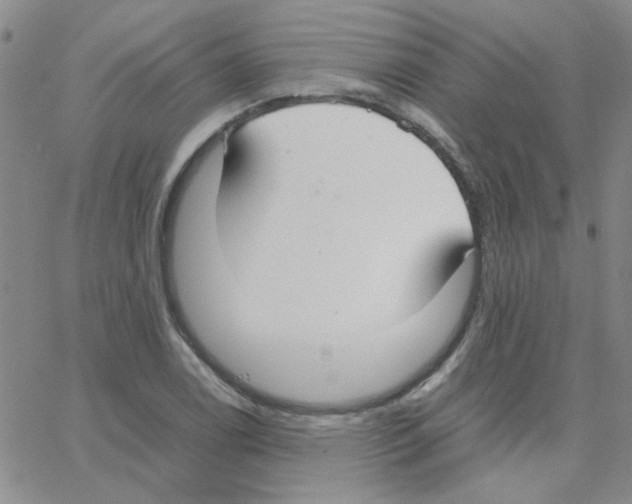 X0000064731122200603131246