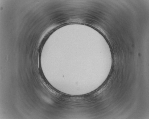 X0000064731123200603131246