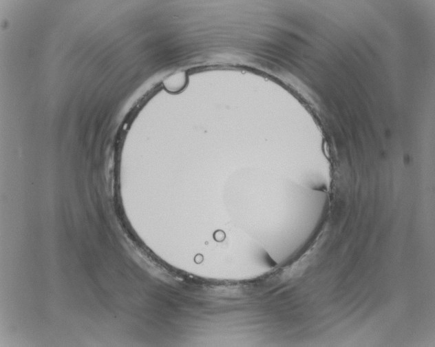 X0000064731126200603131246