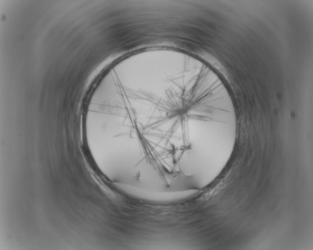 X0000064731127200603131246