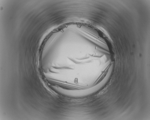 X0000064731128200603131246