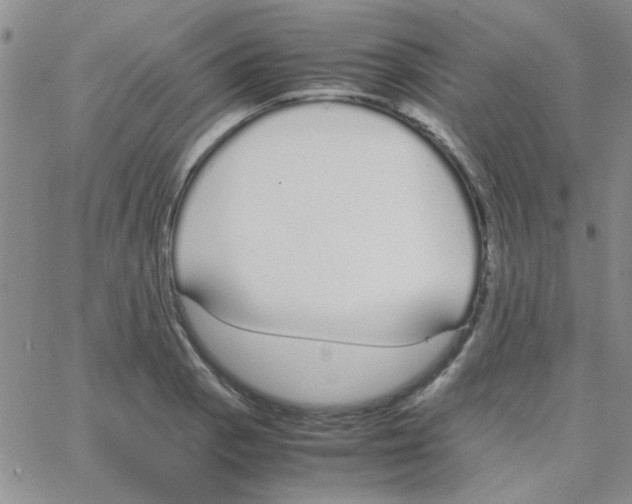 X0000064731129200603131246