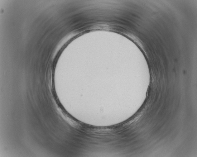 X0000064731131200603131246