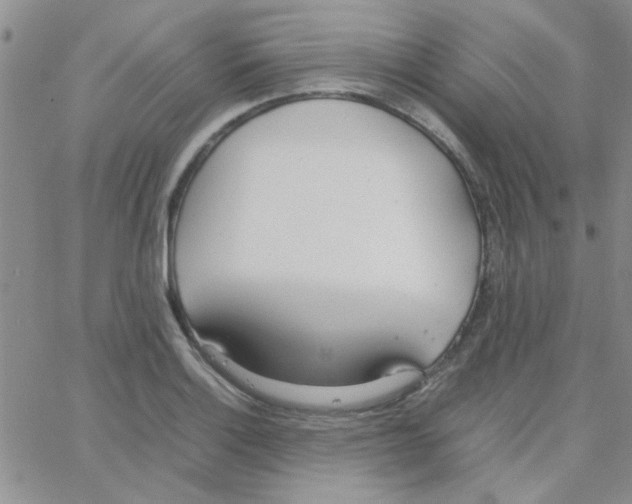 X0000064731132200603131246