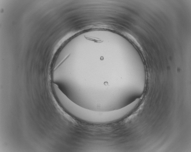 X0000064731133200603131246