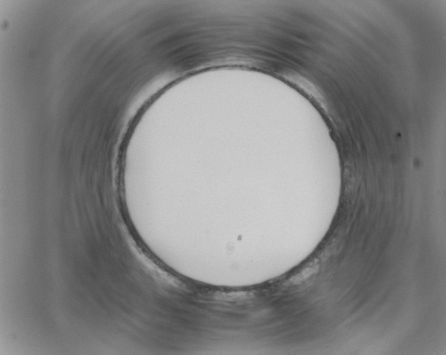 X0000064731135200603131246