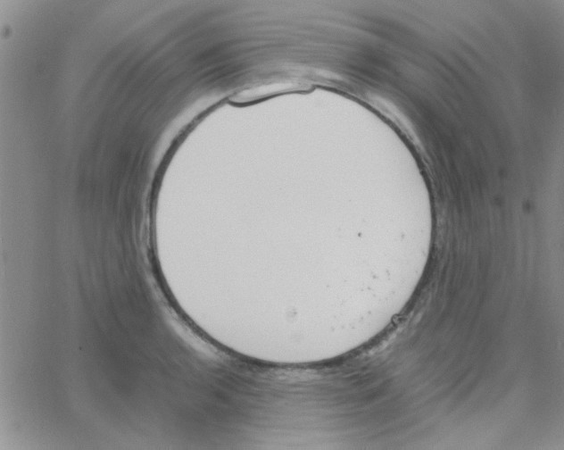 X0000064731136200603131246