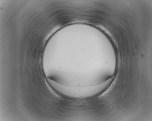 X0000064731137200603131246