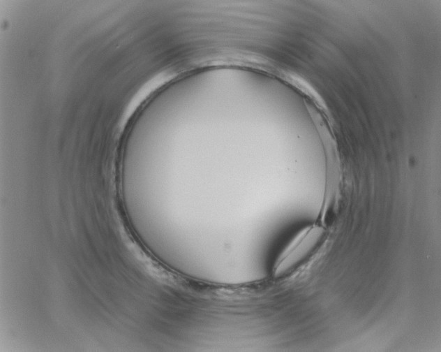 X0000064731138200603131246