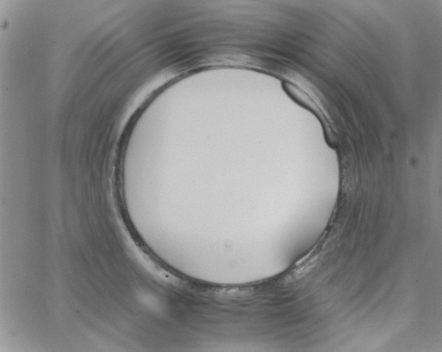 X0000064731139200603131246