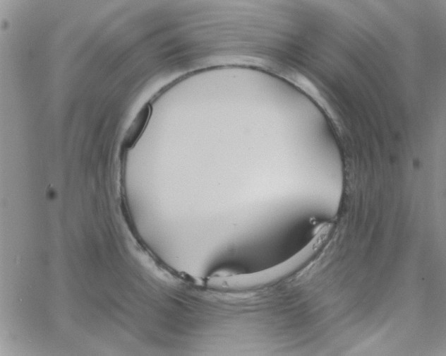 X0000064731140200603131246