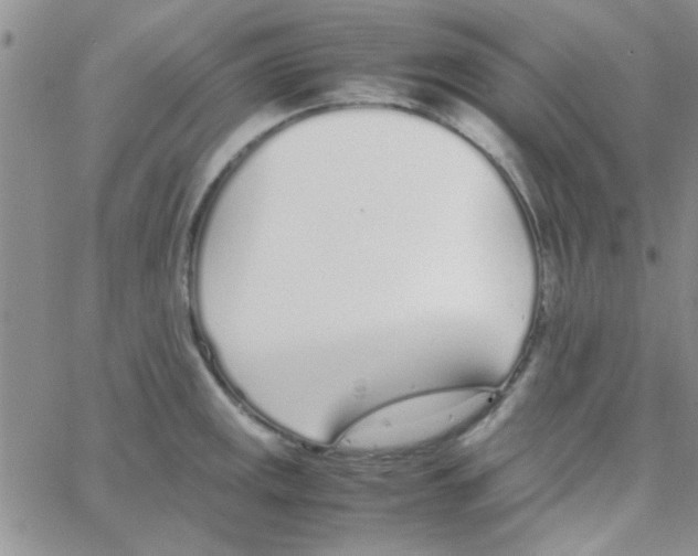 X0000064731141200603131246