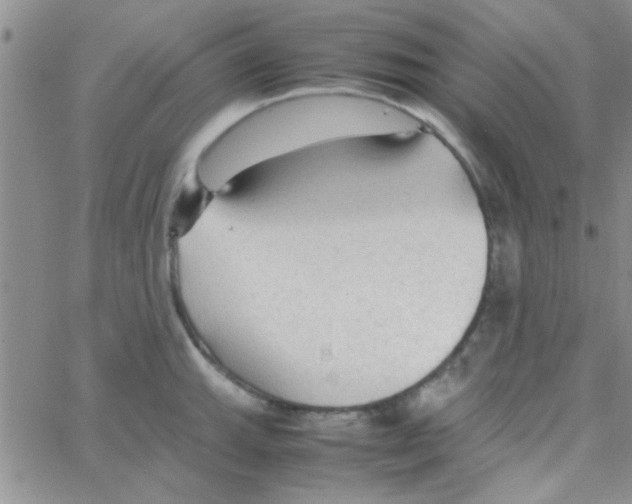 X0000064731143200603131246