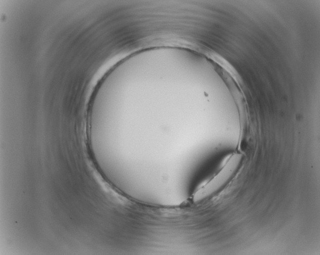 X0000064731144200603131247