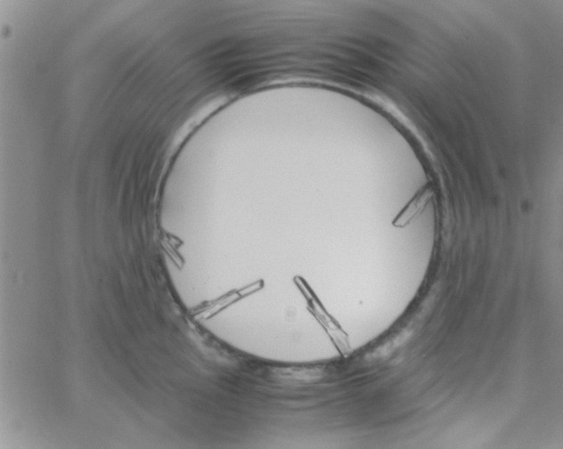 X0000064731145200603131247