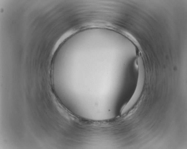 X0000064731146200603131247