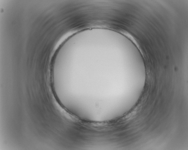 X0000064731147200603131247