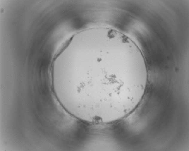 X0000064731150200603131247