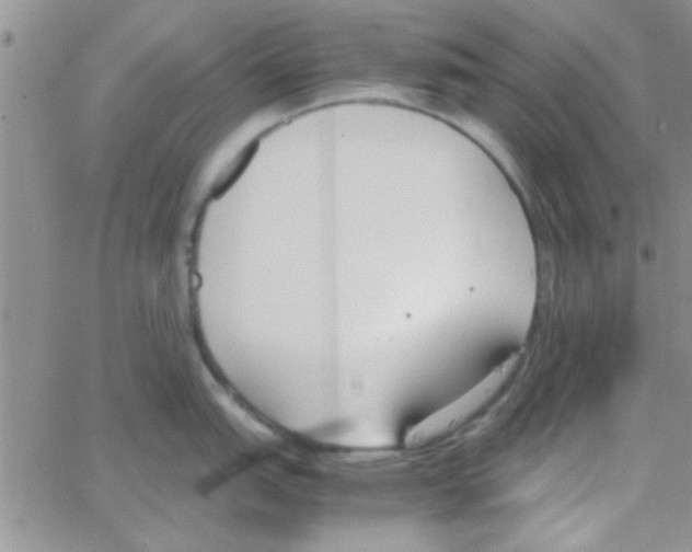 X0000064731151200603131247