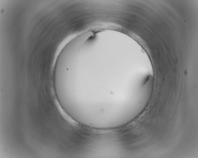 X0000064731152200603131247