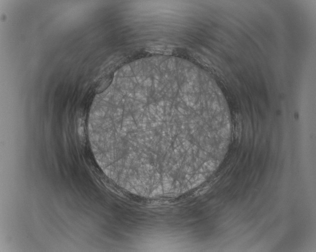 X0000064731154200603131246