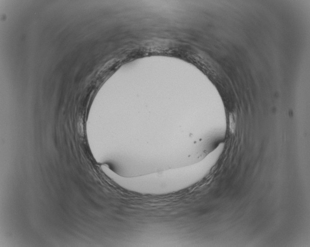 X0000064731155200603131246