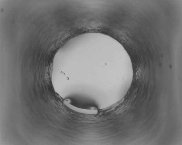 X0000064731156200603131246