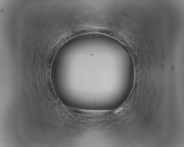 X0000064731157200603131246