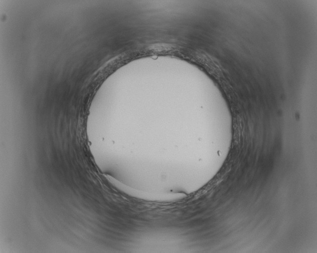 X0000064731158200603131246