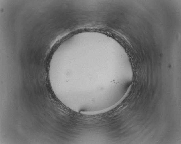 X0000064731160200603131246