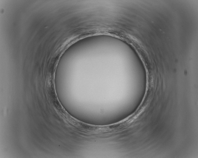 X0000064731161200603131246