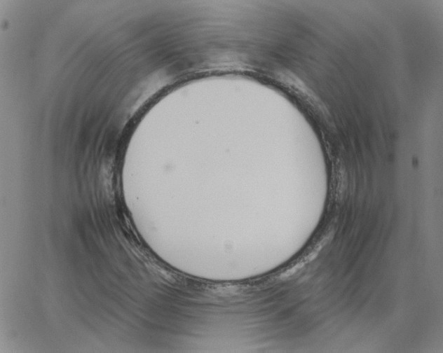 X0000064731162200603131246