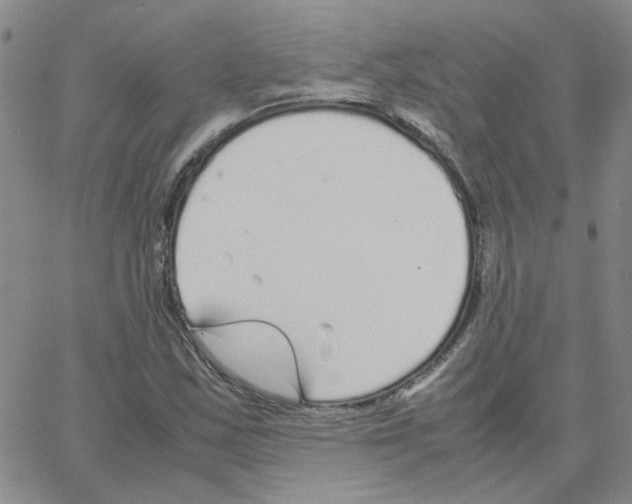 X0000064731163200603131246