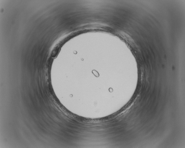 X0000064731164200603131246