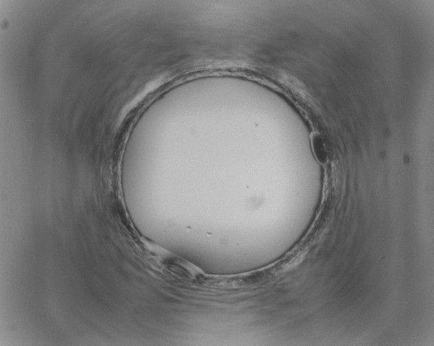 X0000064731165200603131246