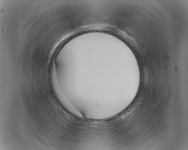 X0000064731166200603131246