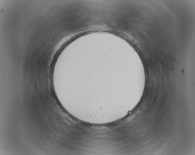 X0000064731168200603131246