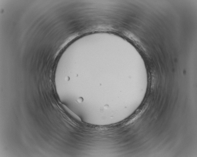 X0000064731170200603131246